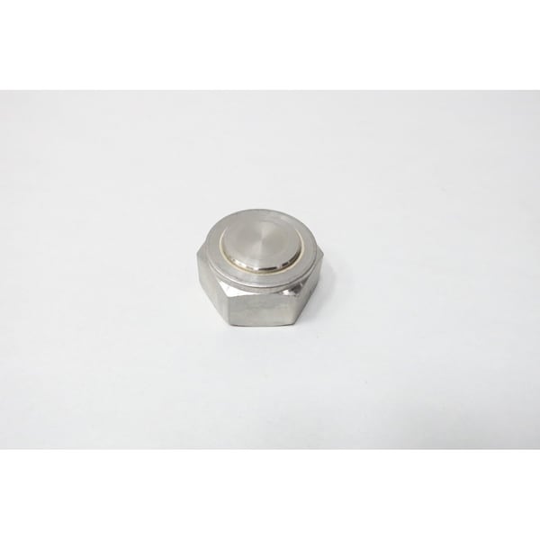 1IN STAINLESS PIPE PLUG, 10PK